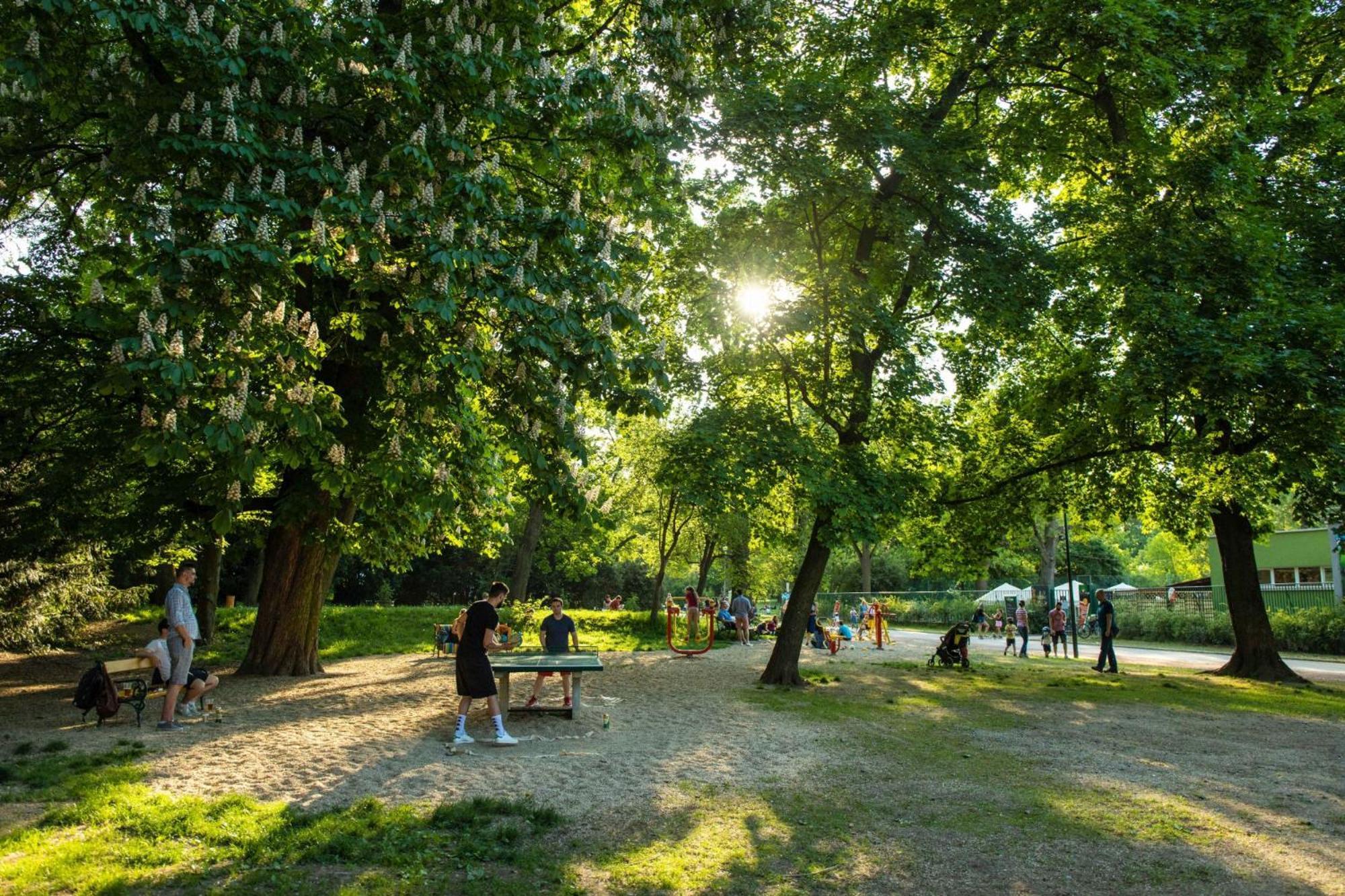 Apartman S Balkonem U Parku & 15 Minut Do Centra Brno Exteriér fotografie