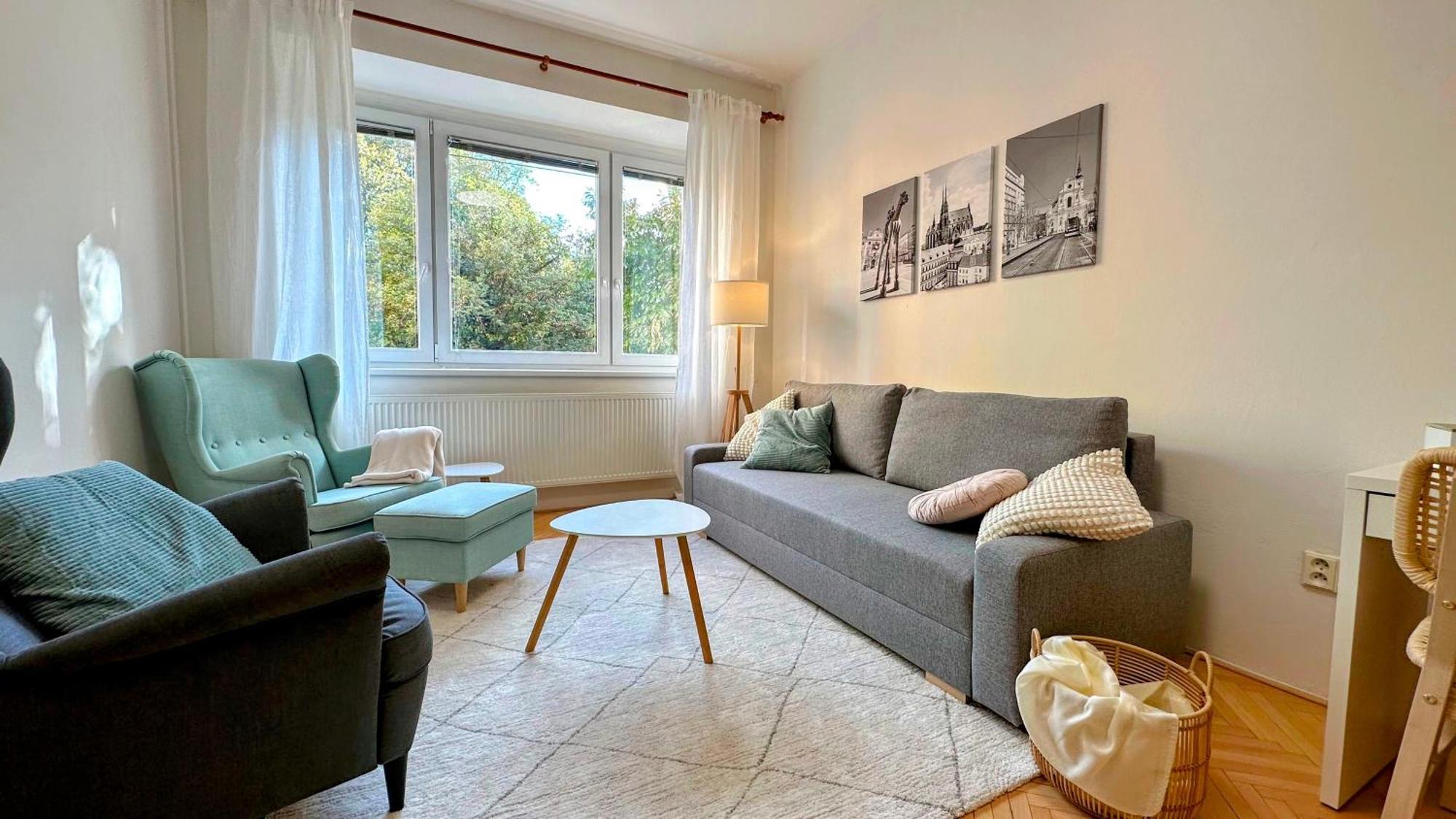 Apartman S Balkonem U Parku & 15 Minut Do Centra Brno Exteriér fotografie